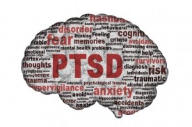 ptsd-brain-e1392825630316